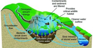 Farm constructed wetlands for water retention - WATERAGRI